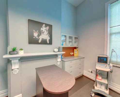 Vet Connection Consult room Interior Design