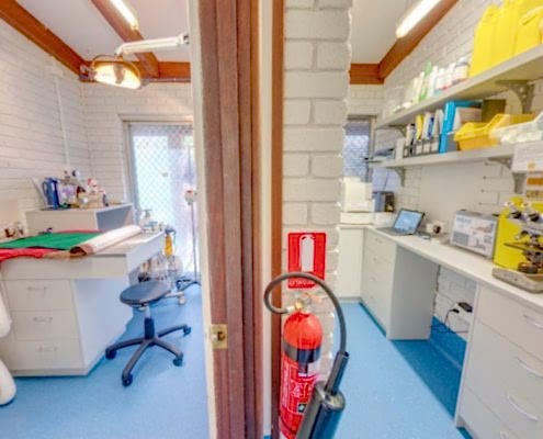 Veterinary Dental room Interior design