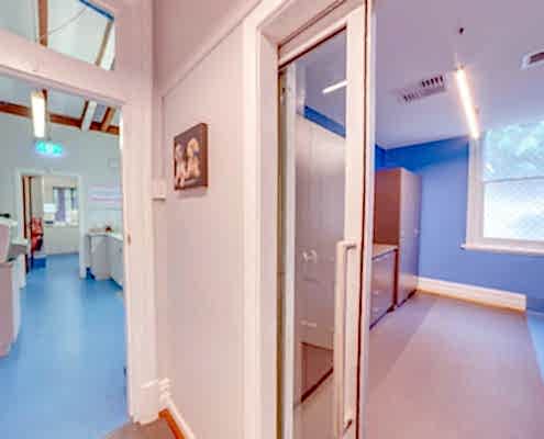 Veterinary Dog Treatment area Design by Stiely Design