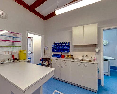 Vet Connection Treatment room Design